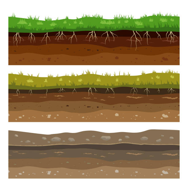 土の地面の層。石および草が付いている継ぎ目が無いカンポの地面の汚れの粘土の表面の質。ベクトル - 土壌点のイラスト素材／クリップアート素材／マンガ素材／アイコン素材