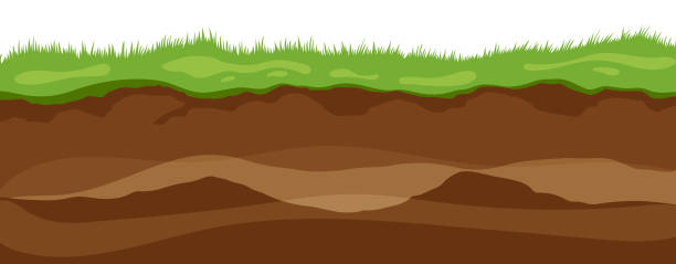 ilustrações de stock, clip art, desenhos animados e ícones de soil layers. surface horizons upper layer of earth structure with mixture of organic matter, minerals. dirt and underground clay layer under green grass - layers of the earth
