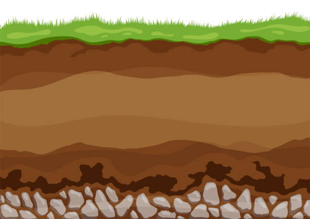 ilustrações de stock, clip art, desenhos animados e ícones de soil layers. surface horizons upper layer of earth structure with mixture of organic matter, minerals. dirt and underground clay layer under green grass - layers of the earth
