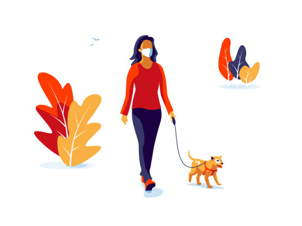 ilustrações de stock, clip art, desenhos animados e ícones de solo woman wearing face mask with dog walking isolated on white background - woman walk
