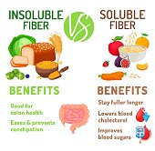 istock Soluble and insoluble fibre benefits. Editable vector illustration 1359001616