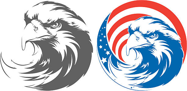 soon eagle soon eagle  bills patriots stock illustrations
