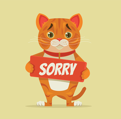 Sorry cat character hold apology plate