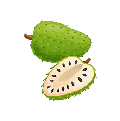 Sour apple soursop exotic tropical fruit isolated