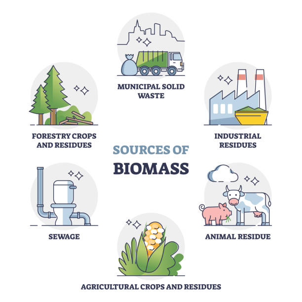 ilustrações, clipart, desenhos animados e ícones de fontes de energia de biomassa como potência alternativa no diagrama de coleta de contornos - co2 lavoura