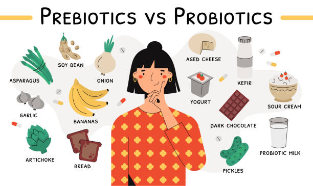 ilustrações de stock, clip art, desenhos animados e ícones de sources of prebiotics and probiotics flat vector - alimentos sistema imunitário