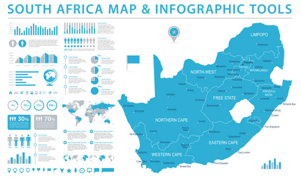 güney afrika haritası - bilgi grafik vektör çizim - south africa stock illustrations