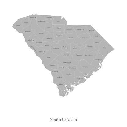 vector of the South Carolina map