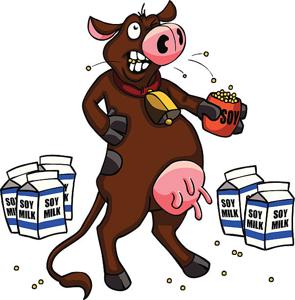 Soy Bean Cow vector art illustration