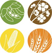 Icon set of agriculture symbols representing soybeans, cotton, corn and wheat