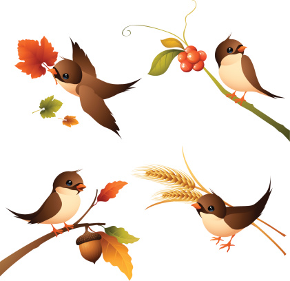 Sparrow - Autumn Set