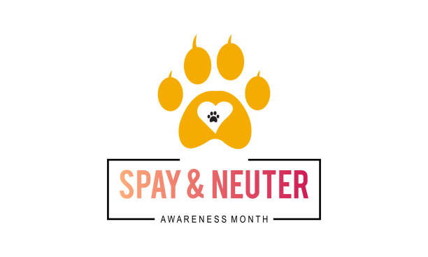 Spay and Neuter awareness month. Vector template for banner, card, poster, background. Spay and Neuter awareness month. Vector template for banner, card, poster, background. international dog day stock illustrations