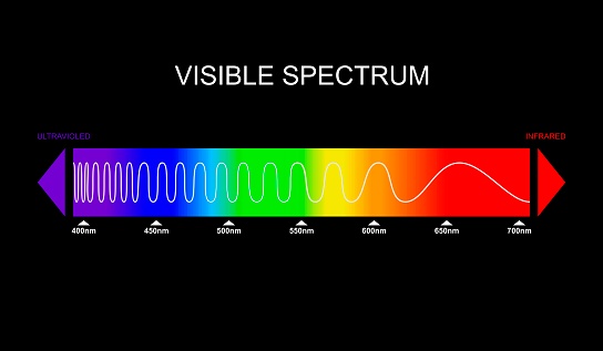 Spectrum, visible light diagram. Portion of the electromagnetic spectrum that is visible to the human eye. Color electromagnetic spectrum, light wave frequency. Infrared and ultraviolet. Vector