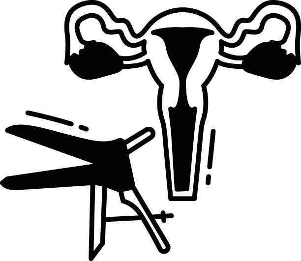 분수 및 질 개념, 질 벡터 아이콘 디자인, 백색 배경에 체외 수정 기호, 임신 및 산부인과 사인, - abortion stock illustrations