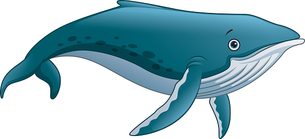 マッコウクジラ漫画 ひれのベクターアート素材や画像を多数ご用意 Istock