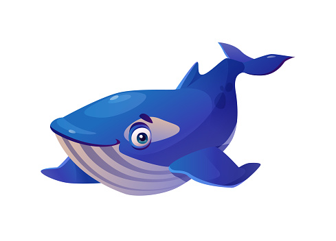 マッコウクジラ孤立カシャロット水中動物の子供っぽい漫画のキャラクターを大きな目でベクターブルーの巨大な魚海洋の赤ちゃんシャチ水泳かわいい水の野生動物両生類面白いマ いたずらのベクターアート素材や画像を多数ご用意 Istock