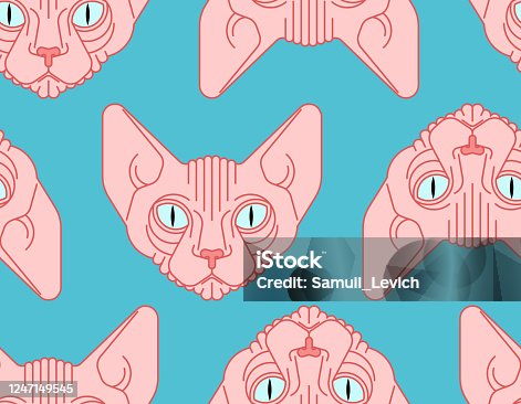 istock Sphynx cat pattern seamless. Pet background. Home animal texture. vector ornament 1247149545