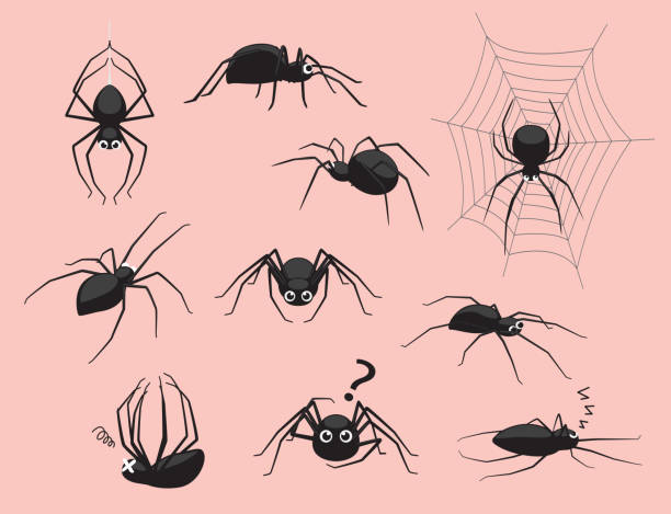 Spider Black Poses Cute Cartoon Vector Illustration Animal Cartoon EPS10 File Format cute spider stock illustrations