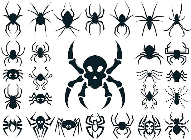 Spider Shapes Set for Halloween vector art illustration