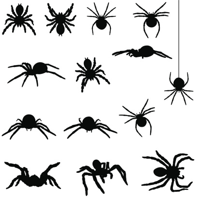 Spider silhouette collection