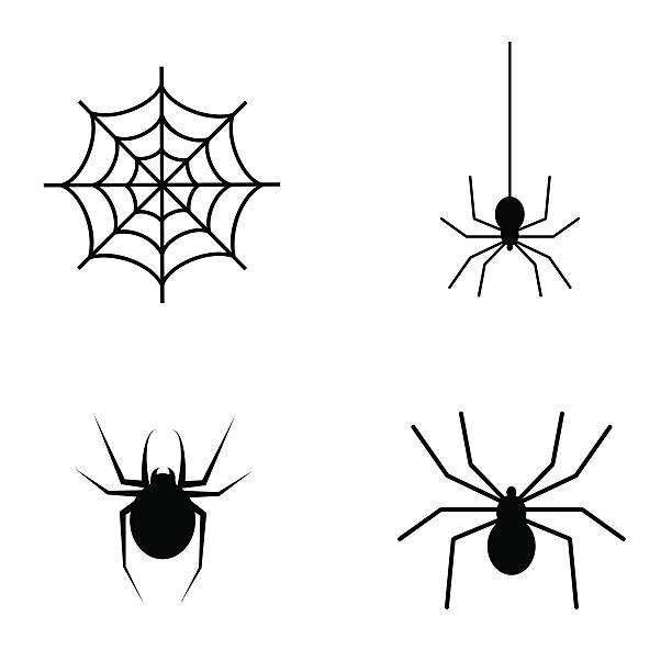 Spider vector icon set. Vector art: spider black symbols. spider stock illustrations