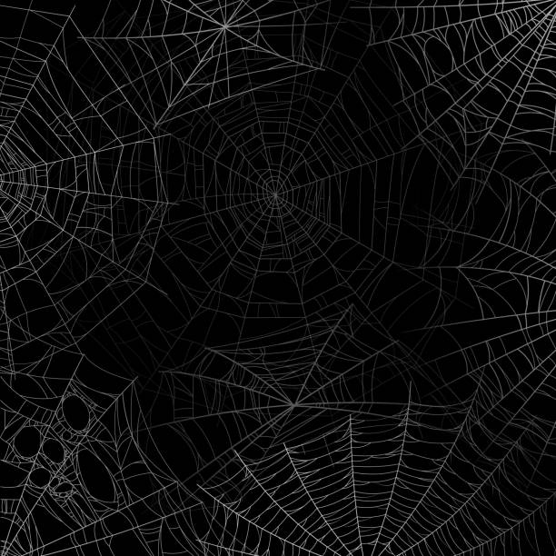 Spider web background. Spooky cobweb for halloween, black grunge poster with spider webs silhouette texture. Scary party vector design Spider web background. Spooky cobweb for halloween, black grunge poster with spider webs silhouette texture. Scary party vector realistic horror isolated dark spiderweb design halloween background stock illustrations