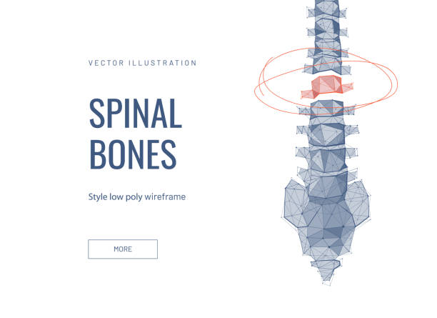 Spinal discs low poly wireframe landing page template Spinal discs low poly wireframe landing page template. Anatomical web banner. 3d human backbone polygonal illustration. Human vertebra, spinal displacement mesh art homepage design layout pain backgrounds stock illustrations