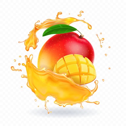 A splash of juice with mango and ripe mango slices. Vector realistic illustration