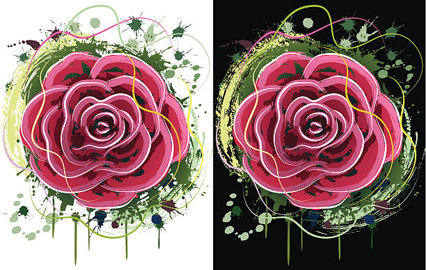 Splash rose vector art illustration