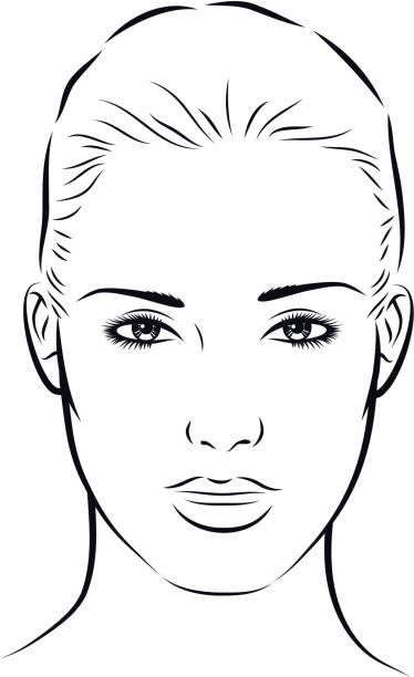 Woman Face Line Drawing Vector : Royalty free human face clip art vector images