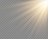 Spotlight isolated on transparent background. Vector sunlight with gold rays and beams. Vector warm light effect
