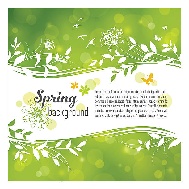 Spring Background with Copyspace Spring banner with leaves, flowers butterflies and birds over a defocused light background. EPS10 file contains transparencies. Global colors used, AI10 and hi res jpeg included. Scroll down to see more of my illustrations. nature borders stock illustrations