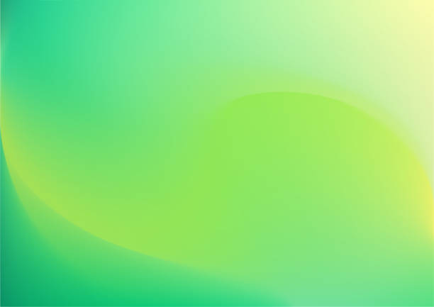 весенний фон с градиентом и мягким зеленым солнечным листом - зелёный цвет stock illustrations