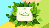 Spring background with green leaves and square frame on trendy geometric backdrop. Vector illustration. Fresh template design for posters, flyers, brochures or vouchers.