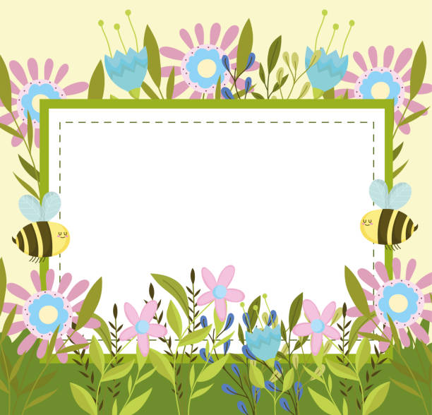 spring bees and banner spring bees and banner with flowers bee borders stock illustrations