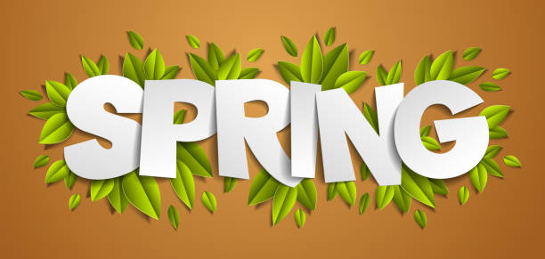 Spring cutout word with fresh green leaves vector modern style cartoon paper cut 3d illustration. vector art illustration