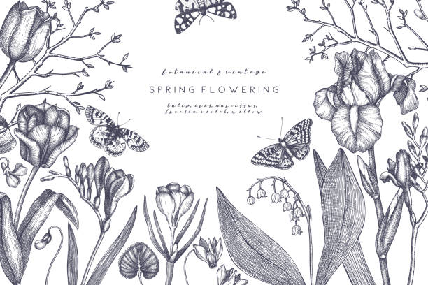 Spring flowers and trees design. Spring flowers and trees design.  Floral elements, buds, leaves drawings. Hand drawn botanical illustrations. Garden and forest plants sketches. Vector invitation or greeting card template. butterfly insect illustrations stock illustrations