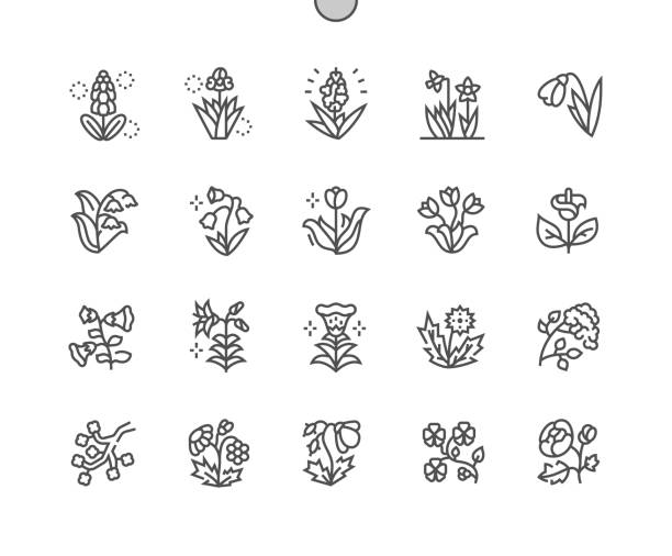 stockillustraties, clipart, cartoons en iconen met lente bloemen goed vervaardigde pixel perfecte vector dunne lijn pictogrammen 30 2x grid voor webafbeeldingen en apps. eenvoudige minimale pictogram - onkruid