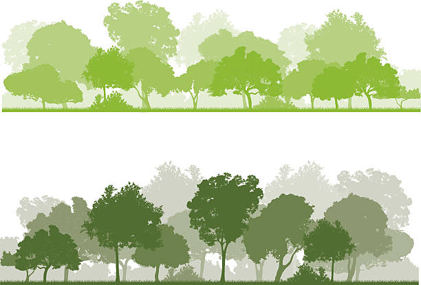 spring forest file_thumbview_approve.php?size=1&id=23566757 tree silhouettes stock illustrations