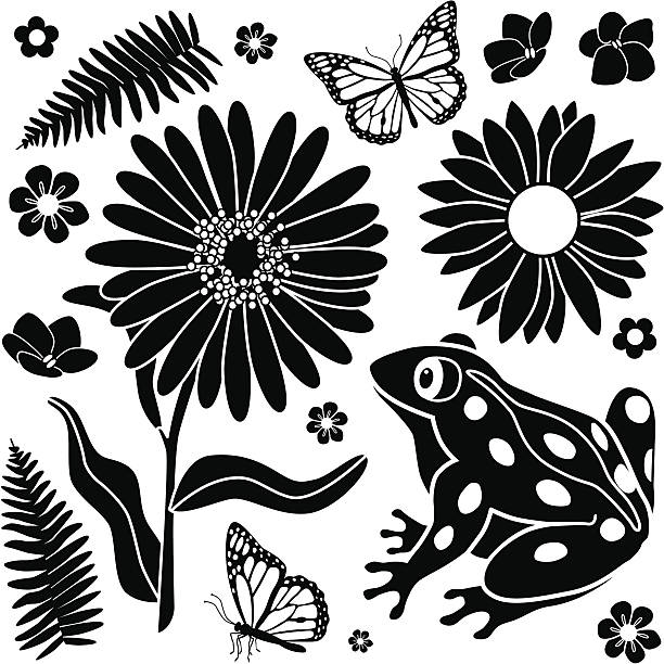 Spring frog Vector design elements with a Spring theme. frog clipart black and white stock illustrations