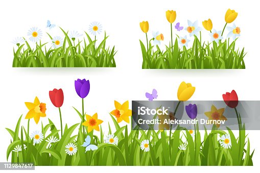 istock Spring grass border with early spring flowers and butterfly isolated on white background. Illustration of colored tulips, daffodils and daisies. Garden bed. Springtime design element. Vector eps 10. 1129847617