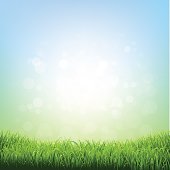 Spring Grass. Vector Illustration EPS10. Contains transparency.