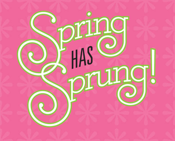 Spring Has Sprung Vector Design on flower background. vector art illustration