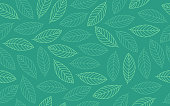 Spring leaf line drawing seamless repeating background green pattern.