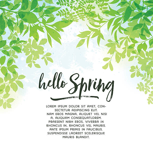 Spring Leaves Background Spring leaves background.EPS 10 file with transparencies.File is layered and global colors used.Hi res jpeg without text included.More works like this linked below.http://www.myimagelinks.com/Lightboxes/spring_files/shapeimage_2.png tree backgrounds stock illustrations