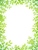 Spring leaves silhouette background. Green leaves on white background.