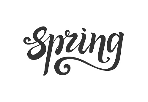spring lettering. Hand write. Decorative element for design