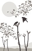 Silhouette vector illustrations of two birds sitting on a branch on a sunny spring day