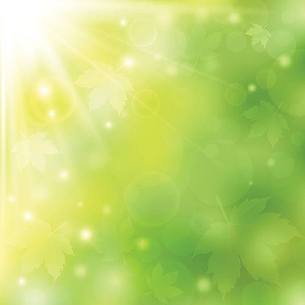 ボケライトを持つ春または夏の緑の背景 - 木漏れ日点のイラスト素材／クリップアート素材／マンガ素材／アイコン素材