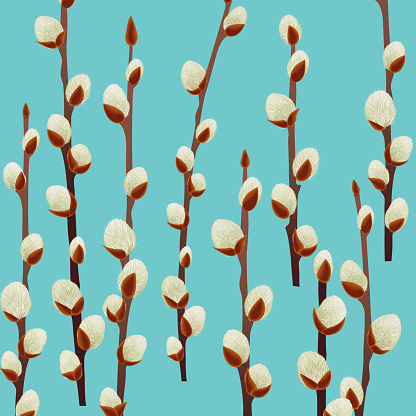 Spring Pussy Willow Background